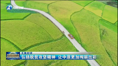 大象时评弘扬脱贫攻坚精神让中原更加绚丽出彩