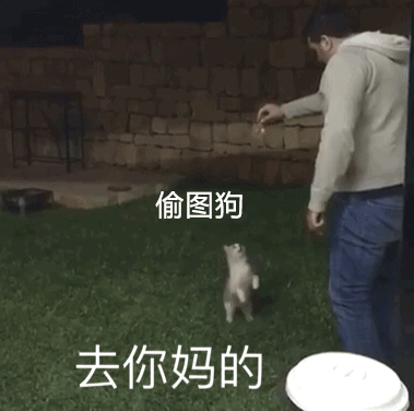 no.145丨每日精选沙雕图片表情