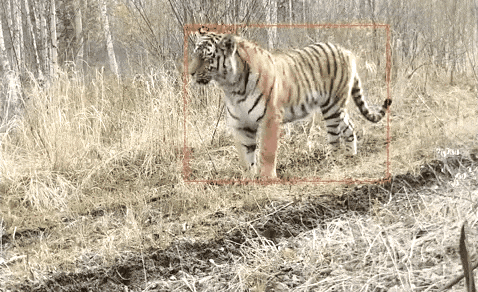 478_292gif 动态图 动图