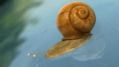 不过,出人意料的是,梦醒之后蜗牛依然拥有了高速.梦终究会醒.