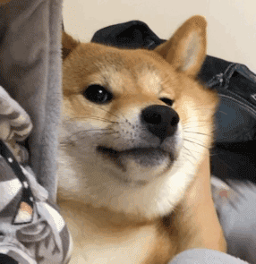 提示如何快速添加表情表情群▲点击获取更多有趣表情包素材源于网络