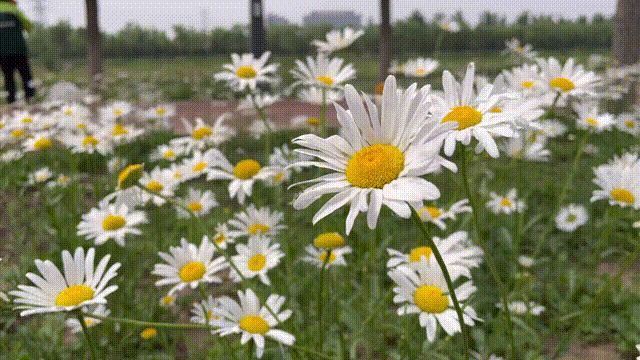 640_360gif 动态图 动图