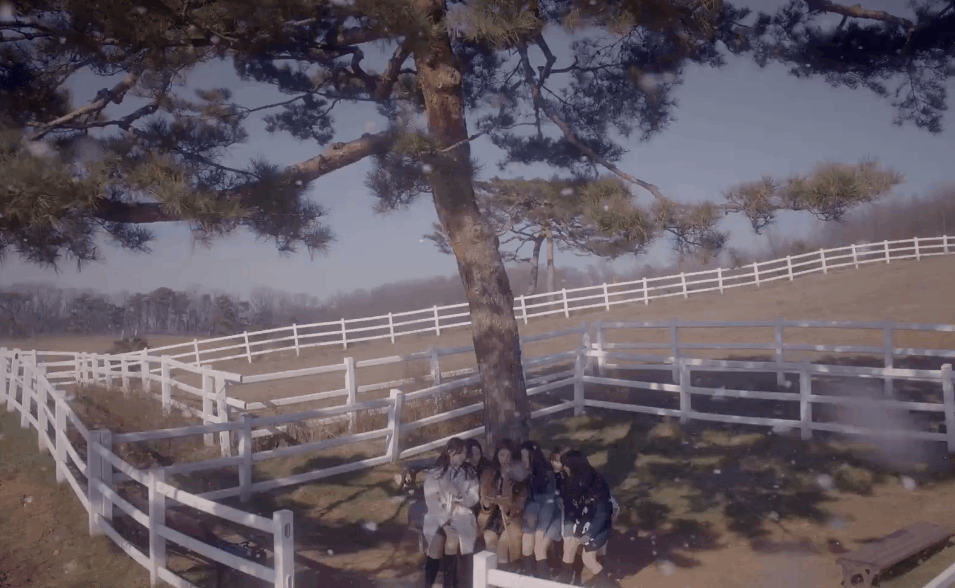 955_588gif 动态图 动图