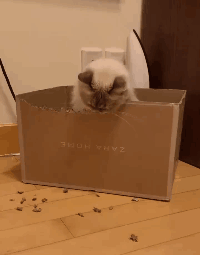 200_255gif 动态图 动图