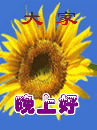 315_420竖版 竖屏gif 动态图 动图