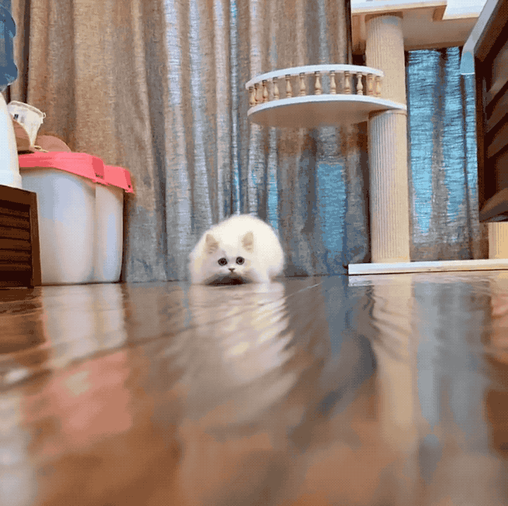 720_718gif 动态图 动图