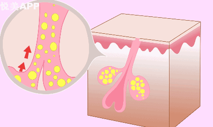 皮肤辛辛苦苦分泌的油脂哪是你随随便便就能洗掉的