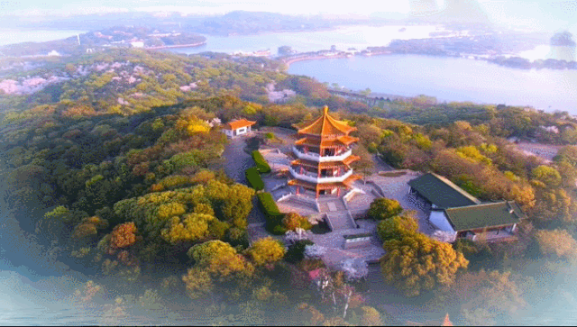 无锡滨湖：生态治理20年，给滨湖带来了什么？_腾讯新闻