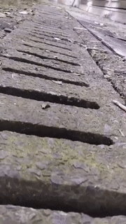 180_320gif 动态图 动图