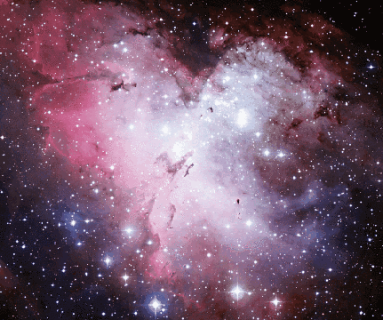 431_360gif 动态图 动图