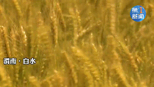 538_305gif 动态图 动图