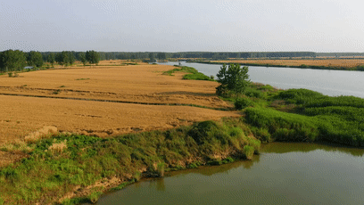 408_230gif 动态图 动图