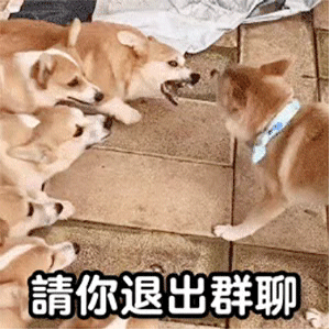 299_299gif 动态图 动图