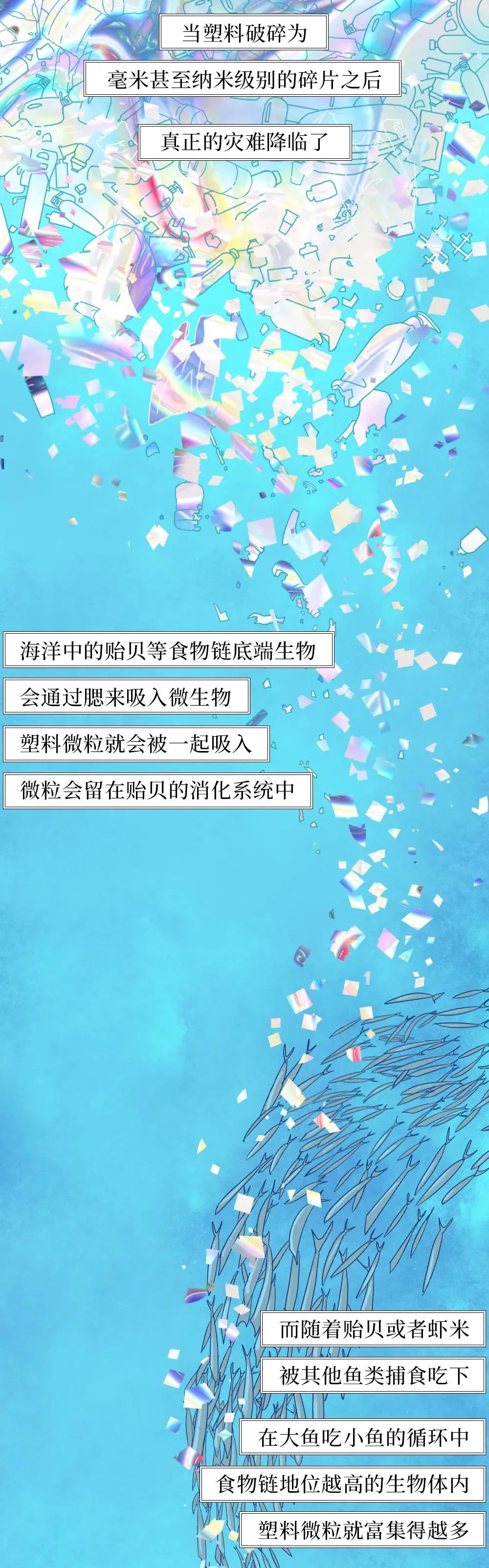 漫画塑料垃圾入侵人体全过程