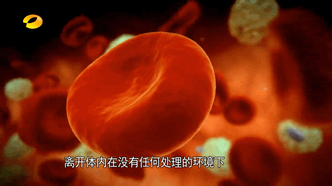 像存钱一样存细胞探访国内首个无人值守细胞银行