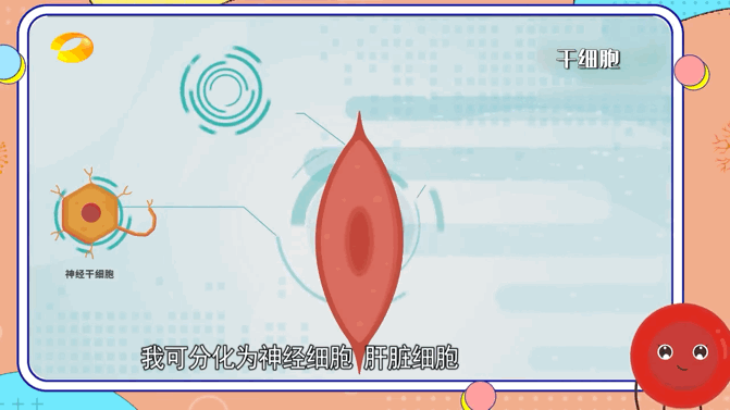 671_377gif 动态图 动图