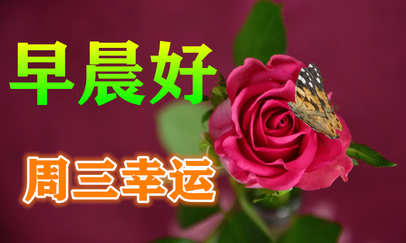 周三2021特漂亮的早安问候图片带字2021最新早上好动态图片大全