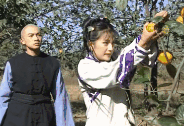 永琪不让小燕子偷柿子是对的因为这柿子压根就没熟!