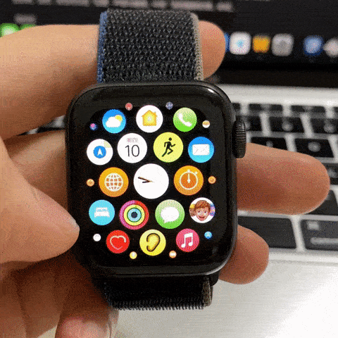 watchOS8正式版更新了什么|watchOS8正式版更新内容 watchOS8正式版更新了什么