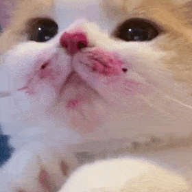 20220222是他们的但这份甜甜火龙果是我给你的