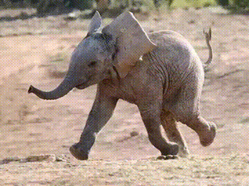360_270gif 动态图 动图