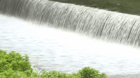 480_268gif 动态图 动图