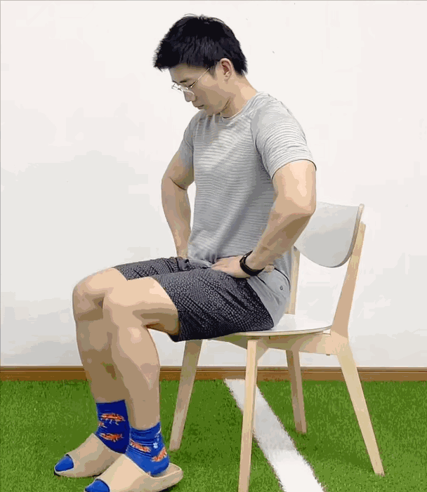 还是各式各样的「坐姿提踵」.这个叫做「提踵」,甭管是「站姿提踵」.