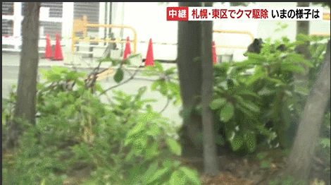 札幌市役所 財政局 北部市税事務所 市民税課個人の市 道民税担当 札幌市中央区 あなたの街の情報屋さん