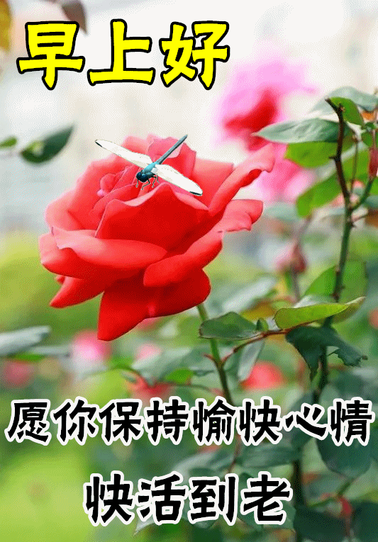 6月21日早上好每日问候