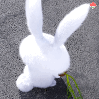 omg|关于兔子的n种打开方式,鞠婧祎教了第一种