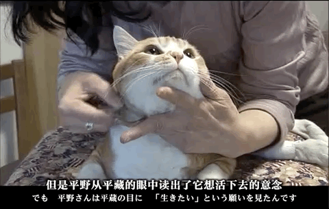 480_305gif 动态图 动图