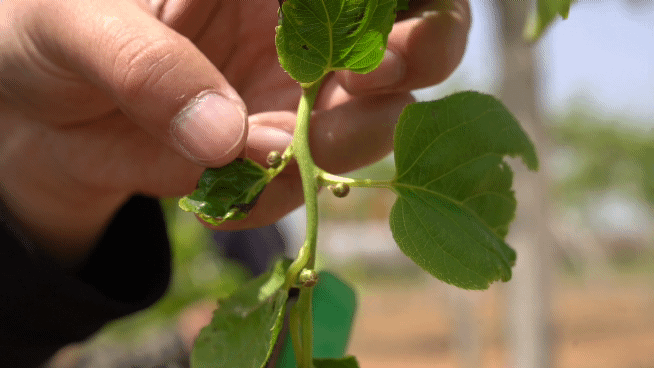 654_368gif 动态图 动图