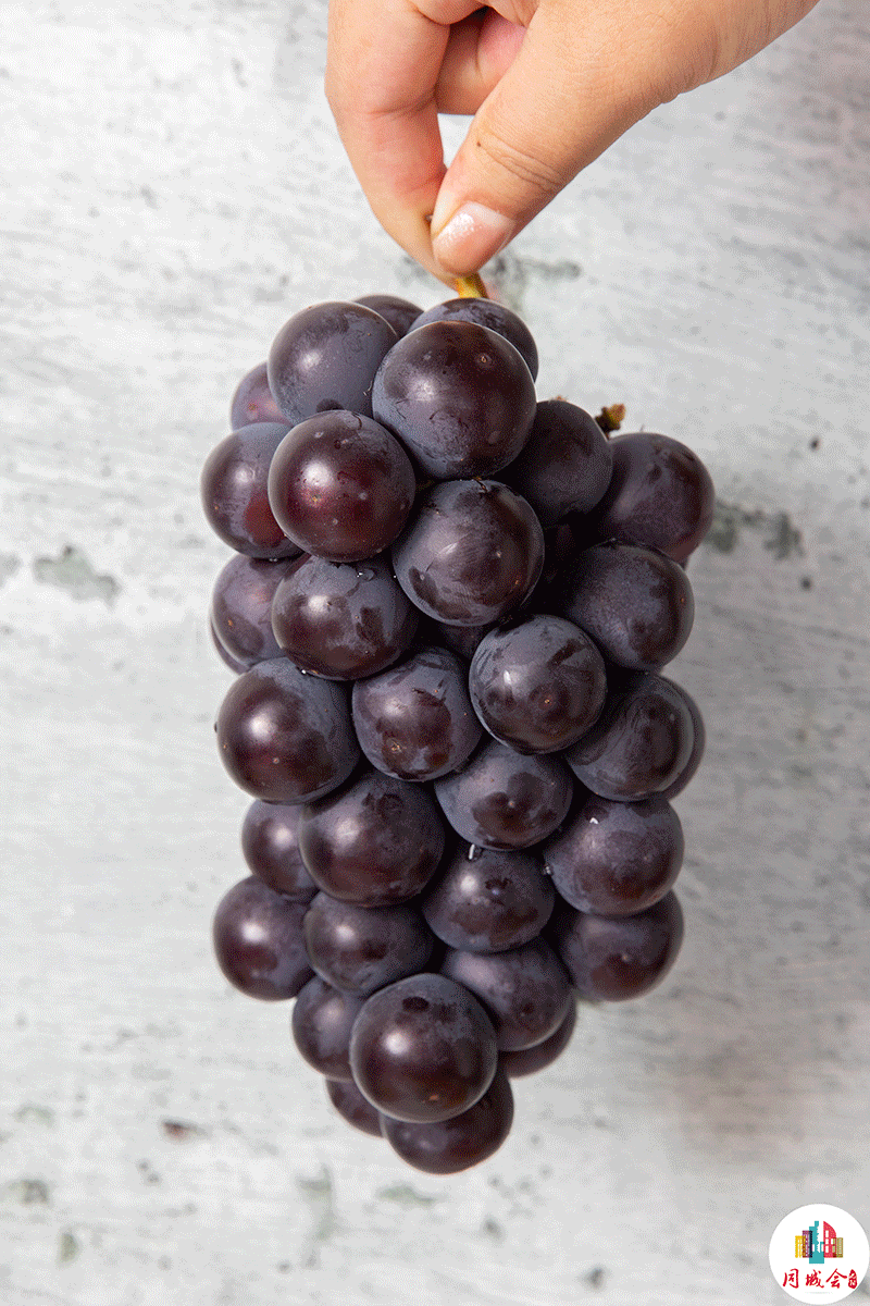 800_1200竖版 竖屏gif 动态图 动图