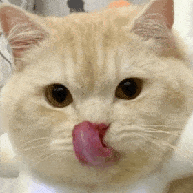 表情包|可爱沙雕表情包(36张)【366期】