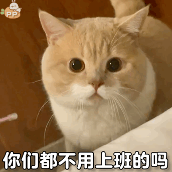 抖音发布热门表情包9月6号