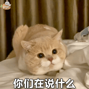 e个人momo地哭|第236期喵表情_腾讯新闻