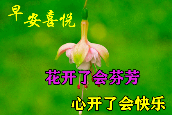 最新早安快乐吉祥句子问候短信微信朋友圈清新的早上好祝福图片带文字