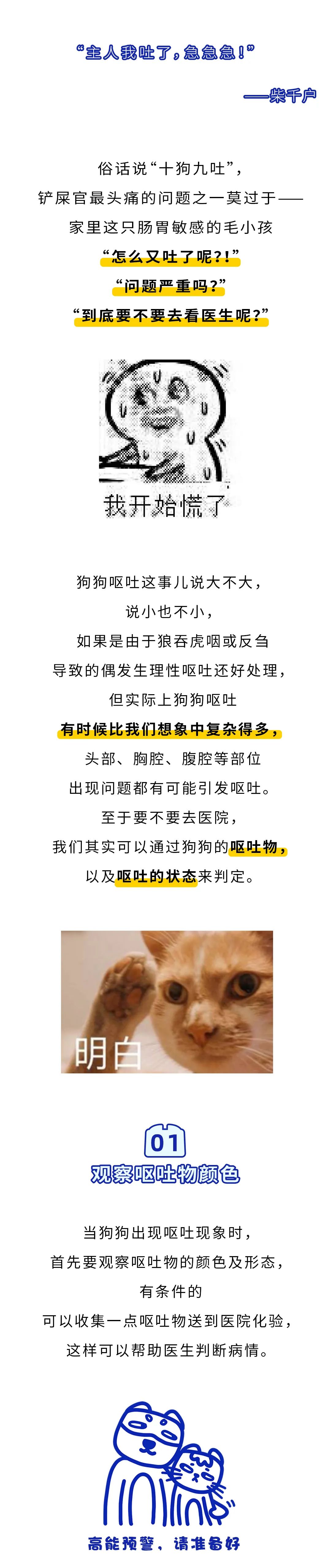 狗狗呕吐怎么办 看这一篇就够了 腾讯新闻