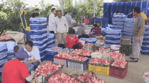 封家镇人口_龙口市芦头镇封家村人人都是活雷锋