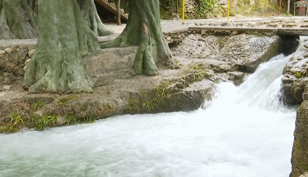 贵阳一5岁女孩掉入湍流中,眼看将被河水冲走!她一个健步……_腾讯新闻