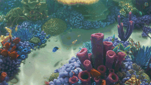 凑近珊瑚丛,就能听到珊瑚礁的背景音.