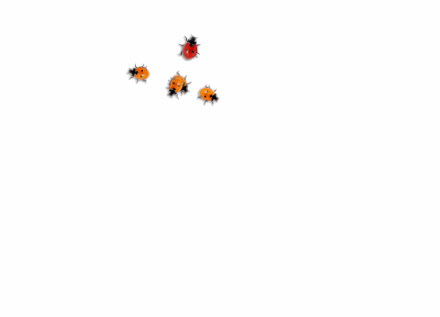 一群苍蝇动态图图片