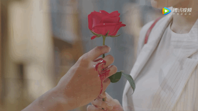 剧情不狗血也没人工糖精,《飞鸟集》完结撒花,男女主终成眷属_腾讯