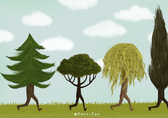 700_495gif 动态图 动图