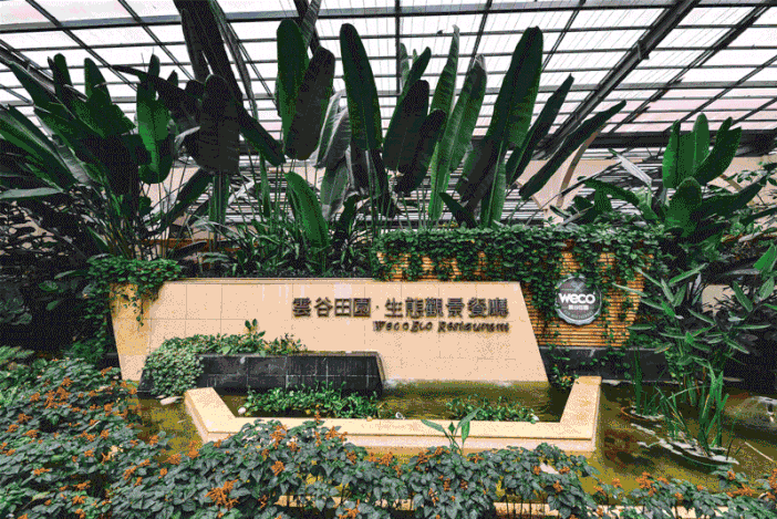 06378起享受热气氤氲,期待温暖冬天