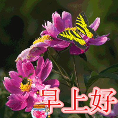 早上好动态图片大全 早上好动态祝福图_腾讯新闻