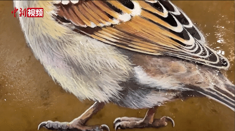 犹如3d特效!黄河石上的"小动物" 栩栩如生