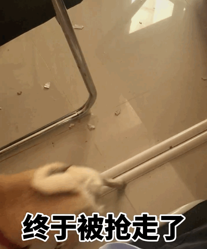 670_807gif 动态图 动图