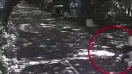 杭州自燃电动车疑似山寨 这些杀人电动车真别买