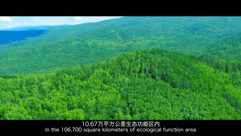 800_450gif 动态图 动图